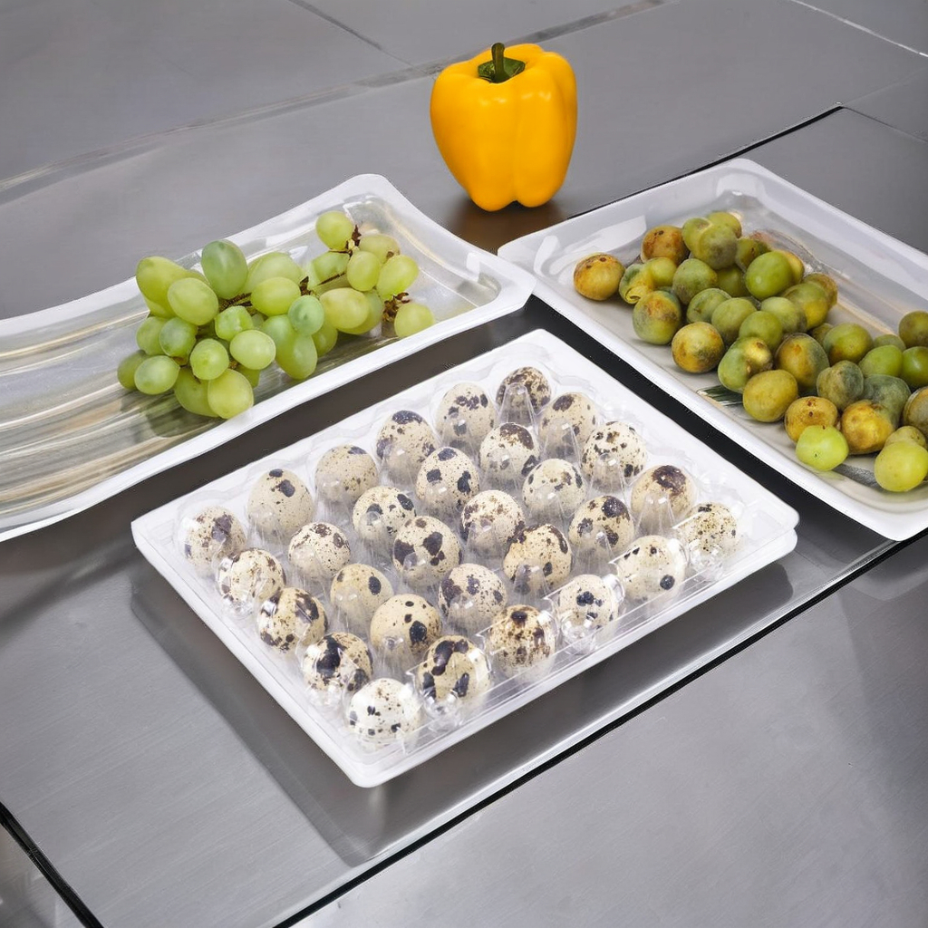 fertilized bright parrot eggs