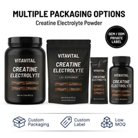 Mélange de boisson électrolytique à la créatine, poudre d'hydratation, fabricant ODM OEM, marque privée, formule personnalisée, sans sucre, faible MOQ, B2B