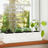 Pots à plantes succulentes carrés blancs avec plateau de drainage, pots de pépinière en plastique pour cactus, petites plantes, décoration de bureau à domicile