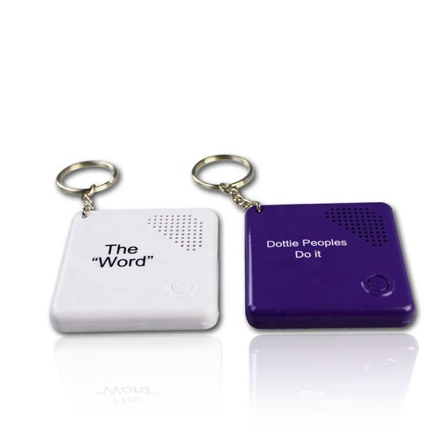 Custom Square Plastic Talking Keychain with Recordable Message Creative Cartoon Design COVER CE Certified Button Cell Battery
