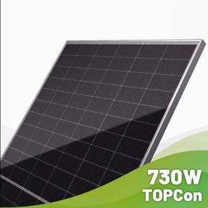 Para Módulo Fotovoltaico Bifacial de Vidrio a Vidrio Hi-MO LR5-72HTD560/565/570/575/580/585M Fabricado en China Hi-MO X6 LR5-72HTD560/565/570 - Product Image 2