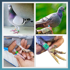 YYB LMA30 Multi Size Renringen voor duiven, aluminium, diverse maten - Product Image 6