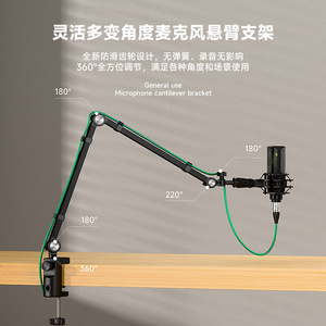 Desktop Microphone <b>Stand</b> 36cm Cantilever Arm With 38 Thread For <b>Recording</b> Streaming Karaoke - Product Image 5