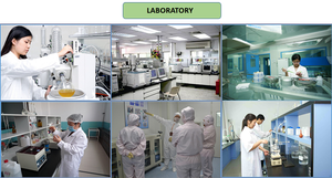 BSTBIO Xylitol Additifs Alimentaires Édulcorant Sucré 1kg 20kg Sac d'Emballage Cristaux de Xylitol - Product Image 4