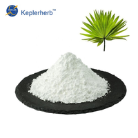 Extrait de Palmier Nain de Qualité Alimentaire en Poudre, Fourniture Directe Usine, avec 25% d'Acides Gras, Emballé Sous Vide en Fût pour Compléments Alimentaires