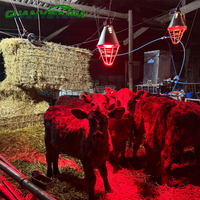 Lampe chauffante en aluminium GUANYIFARM avec protection pour l'élevage de volailles, le chauffage des porcelets et l'élevage du bétail