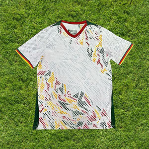 Camiseta de Camerún 2025, Camiseta de Fútbol Masculina de la Selección Nacional, Versión Jugador/Aficionado de la Copa Africana de Naciones, Camiseta de Fútbol de Camerún - Product Image 2