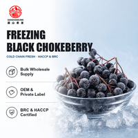 Diepvries Zwarte Chokeberry Aronia Bes IQF Gehele Vruchten 10kg Karton Groothandel OEM Leverancier