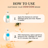 Shampoo à l'huile d'argan sans sulfate pour cheveux abîmés, shampooing réparateur et nourrissant à l'huile marocaine, ensemble de traitement à la kératine
