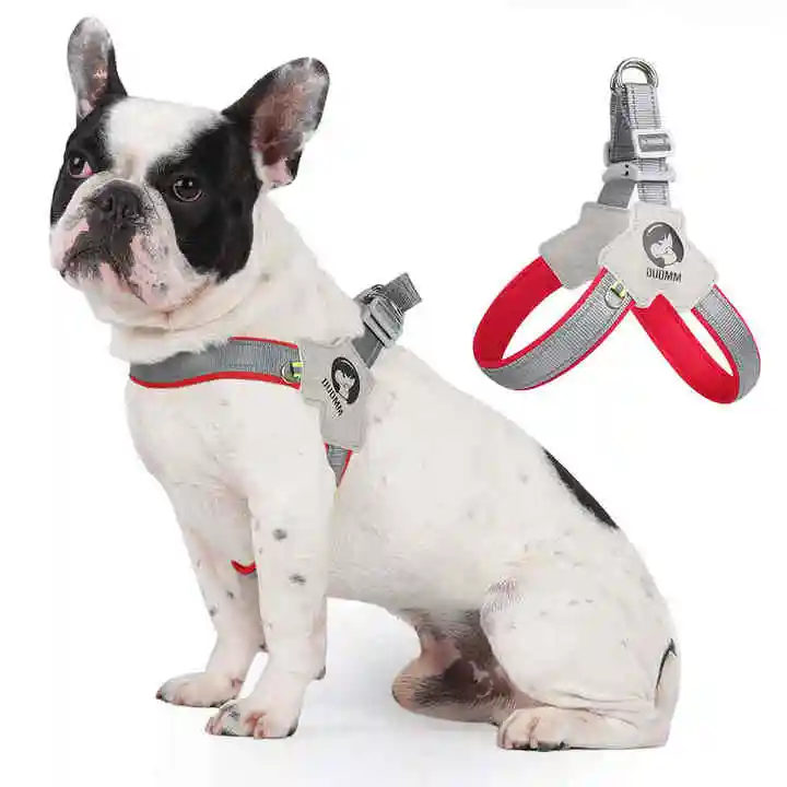 Imbracatura di sicurezza per cani regolabile senza imbracature per cani e cuccioli fascia toracica traspirante con guinzaglio Set accessori per animali domestici