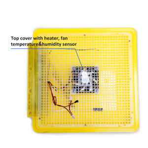Incubadora de Huevos de Pollo de Doble Potencia, Máquina de Incubación Totalmente Automática EW-96 en Venta, DC12V, 96 Huevos de Pollo - Product Image 3