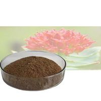 Poudre de Salidroside de Haute Pureté 98% Extrait de Rhodiola Rosea Complément Anti-Fatigue et Antioxydant pour Additifs Alimentaires et Cosmétiques