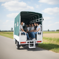 Tricycle à moteur à essence robuste 201-250cc grande capacité à carrosserie ouverte pour passagers, charge lourde, 50-70 km/h