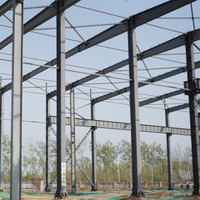 Fabricante Chino de Almacenes Prefabricados de Estructura de Acero Ligera y Profesional, Edificio Prefabricado de Acero