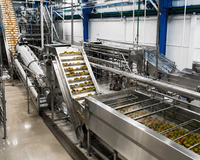 3 Ton/uur PLC-motor bevroren vruchten- en groenteproductielijn, hoogwaardige voedselveilige roestvrijstalen industriële bevroren apparatuur