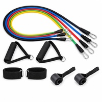 Juego de Bandas de Resistencia de Diseño Nuevo 2026 con Colores Personalizados, con Asas, Correas para Tobillos y Anclaje para Puerta, para Yoga, Gimnasio y Entrenamiento Físico