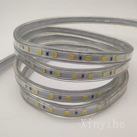 Bande LED SMD 5050 110V 220V 8-10W, Ruban LED en Silicone Étanche Multicolore, Vente en Gros Usine pour la Décoration