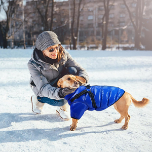 Wholesale Reflective Outdoor Logo Greyhound Apparel Jacket Both <strong>Legs</strong> <strong>Waterproof</strong> Small Luxury Winter Pet Clothes <strong>Dog</strong> <strong>Coat</strong> - Product Image 3