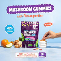 Permen Gummy Jamur Siap Kirim Label Pribadi Lion's Mane Chaga Reishi Turkey Tail Complex Vegan Bebas Gula Sehat