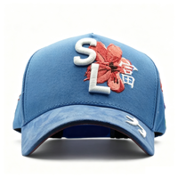NOUVEAU Casquettes de baseball pour hommes de luxe, style 5 panneaux A-Frame, avec broderie de barbe dorée, visière large en daim, Performance Gold, pour jeunes