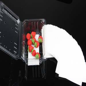 แผ่นกระดาษซับน้ำสีขาวขนาด 160 มม. x 70 มม. สำหรับเนื้อสัตว์ อาหารทะเล ผลไม้ ผัก - ผลิตภัณฑ์ที่เป็นมิตรต่อสิ่งแวดล้อม - Product Image 2