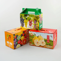 Eco-vriendelijke gerecycleerde golfkartonnen stevige fruitdoos met reliëfdruk & aangepaste logo-druk groothandel leverancier HAIXING
