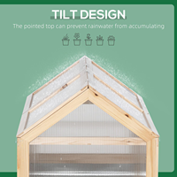 Serre en cèdre personnalisée toit ouvrable transparent double portes à 3 niveaux étagères mini structure en bois d'intérieur polycarbonate sous pression