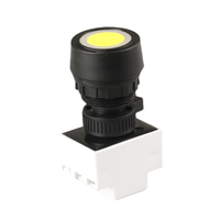 Interruptor de Botón para Áreas Peligrosas con Certificación UL 1203 Ex d IIC T6, Rosca de Montaje de 22 mm, Nivel IP65, Plástico y Metal, 1A/10A/16A