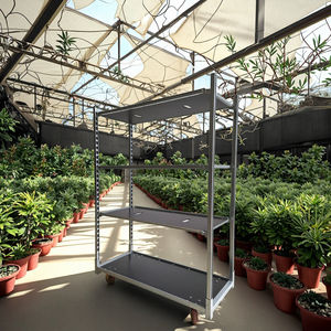 Système de culture mobile à étagères réglables, <span class=keywords><strong>chariot</strong></span> à semis robuste en acier, <span class=keywords><strong>chariot</strong></span> <span class=keywords><strong>danois</strong></span> pour serre - Product Image 1