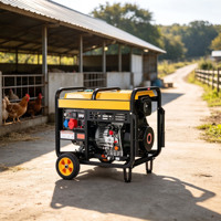 Générateur diesel portable 7 kW monophasé et triphasé monocylindre refroidi par air à démarrage électrique pour fermes d'élevage et fermes touristiques