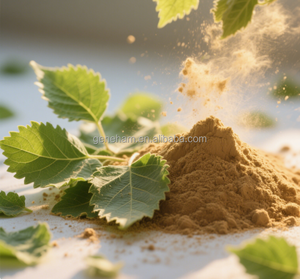 2025 meilleur vendeur UE <span class=keywords><strong>roman</strong></span> alimentaire conforme 1-DNJ 10% <span class=keywords><strong>extrait</strong></span> <span class=keywords><strong>de</strong></span> feuille <span class=keywords><strong>de</strong></span> mûrier <span class=keywords><strong>de</strong></span> qualité alimentaire poudre bouteille tambour peut meilleur vendeur 2025 - Product Image 2