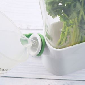 Herb Savor Eco Herb Keeper Freshness Preserver For Cilantro And Herbs With <b>Water</b> Reservoir Storage <b>Container</b> White - Product Image 4