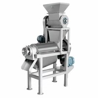 Fabrieksprijs Commerciële Industriële Appelpeer Wortel Kokosnoot Sap Maken Machine