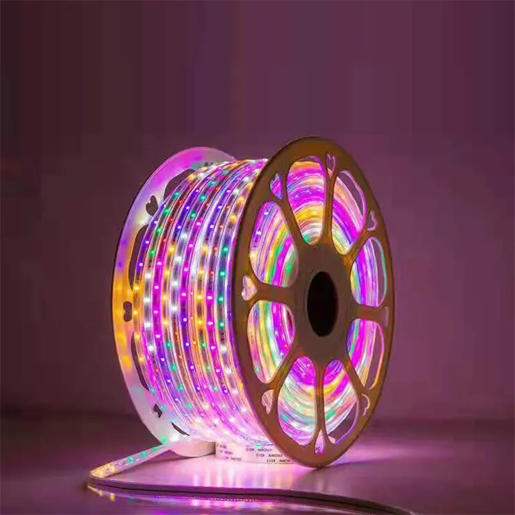 100 mètre 110v 220v extérieur multicolore tuyau rond décoratif néon Flex RGB IP67 étanche Led corde lumières