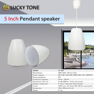 T PA5インチペンダントコマーシャルスピーカー、<span class=keywords><strong>5</strong></span>インチベースバランスドームツイーター、BGM音声アナウンス用 - Product Image 6