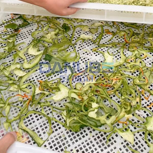 Buen Precio, Bandeja Secadora de Lechuga, Cámara de Secado Automático de Gran Demanda, Horno para Alimentos y Vegetales - Product Image 2