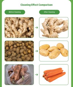 Gelgoog công nghiệp gừng Peeler Cleaner gừng da máy lột tự động gừng Máy lột - Product Image 4