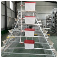 Équipement d'élevage avicole entièrement automatique à longue durée de vie pour poules pondeuses, en acier galvanisé à chaud, pour ferme moderne - Vente en gros