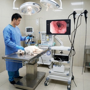 Dawei Hayvan Hastanesi Yüksek Çözünürlüklü Görüntülü Esnek <span class=keywords><strong>Video</strong></span> Gastroskop Kolonoskop Endoskopik Kule Sistemleri - Product Image 2