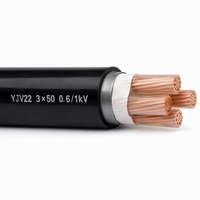 Câble d'alimentation blindé en cuivre à grande section YJV22 0,6/1 kV 3*50 mm², isolé XLPE pour courant élevé 3*50 mm²