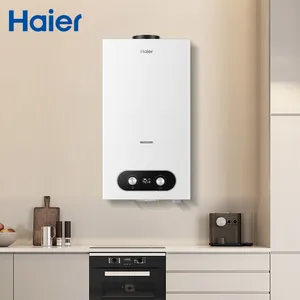 Haier Supplier Wholesale Custom Reasonable Price Modern Novel Design Natural Gas Water Heater