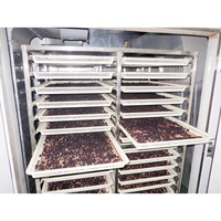 Déshydrateur automatique à pompe à chaleur en acier inoxydable Shouchuang avec fonction IoT pour le séchage des fruits de mer, des concombres de mer et des fruits de mer