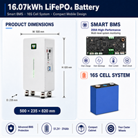 Batterie solaire divisée 16 kWh avec communication CAN LiFePO4 51,2 V 314 Ah pour systèmes solaires domestiques et onduleurs