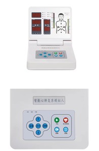 Maniquí de RCP para Niños al por Mayor ZK/CPR875 con Pantalla Digital para Entrenamiento Médico en Escuelas y Hospitales - Product Image 5