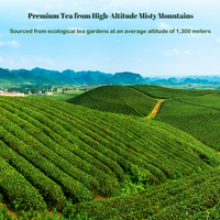 Thé vert Longjing en vrac de qualité supérieure chinoise, goût frais et doux, arôme longue durée, idéal pour la consommation quotidienne et les cadeaux d'affaires