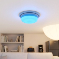 Ampoules décoratives LED à télécommande, étanches IP65, changement de couleur RVB, lampes de nuit à intensité variable, batterie au lithium, Noël