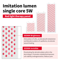 Panneau de luminothérapie LED à usage domestique, fabrication OEM ODM, panneau de luminothérapie LED rouge avec plusieurs longueurs d'onde personnalisées