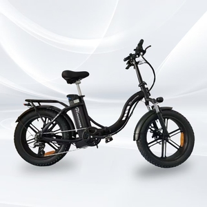 Bicicletta <span class=keywords><strong>Elettrica</strong></span> da Città con Motore Centrale ad Alte Prestazioni, 20 Pollici, 48V, per Neve, <span class=keywords><strong>Scooter</strong></span> Biposto per Pendolari, Direttamente dalla Fabbrica - Product Image 5