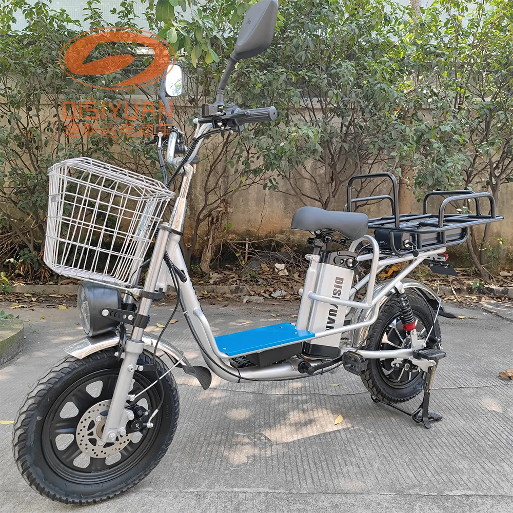 DISIYUAN 16 inç 18 inç 20 inç 2 tekerlekli kargo bisiklet elektrikli bisiklet ebike motosiklet çin'den