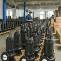 Bomba Sumergible para Aguas Residuales de Material Resistente 380V 220V 5KW para Ingeniería de Drenaje